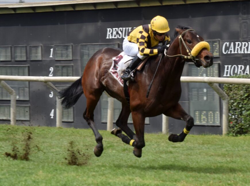 Cuadruplete del Haras Rancho Fátima el fin de semana