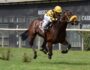 Cuadruplete del Haras Rancho Fátima el fin de semana