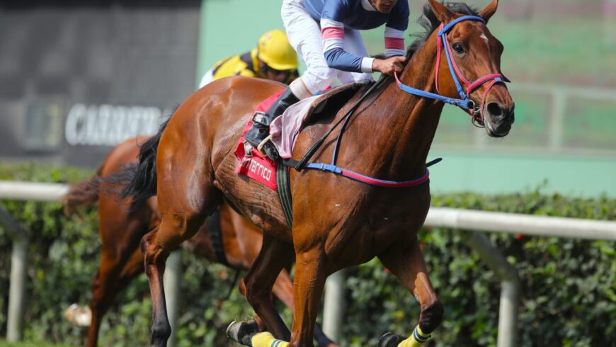 Suleika y Hespería, nuevo doblete para el Haras Rancho Fátima