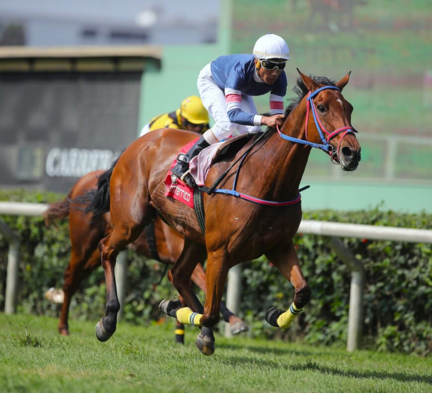 Dos triunfos más para el HRF y cierra la semana con sextuplete