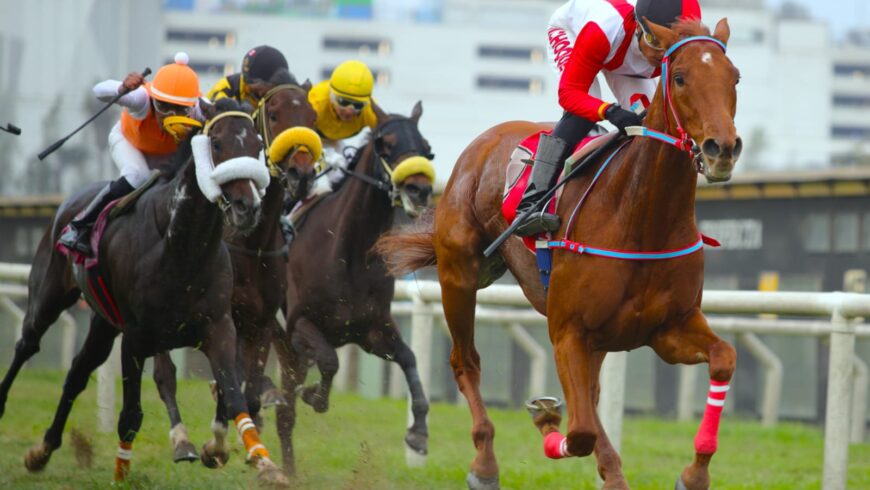 Sumaq Tika se convirtió en la cría ganadora número 100 de Singe The Turf
