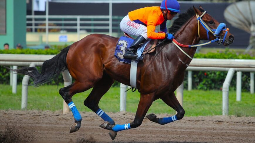 Tío Moshe, ganó casi de punta a punta y mostró con proyección