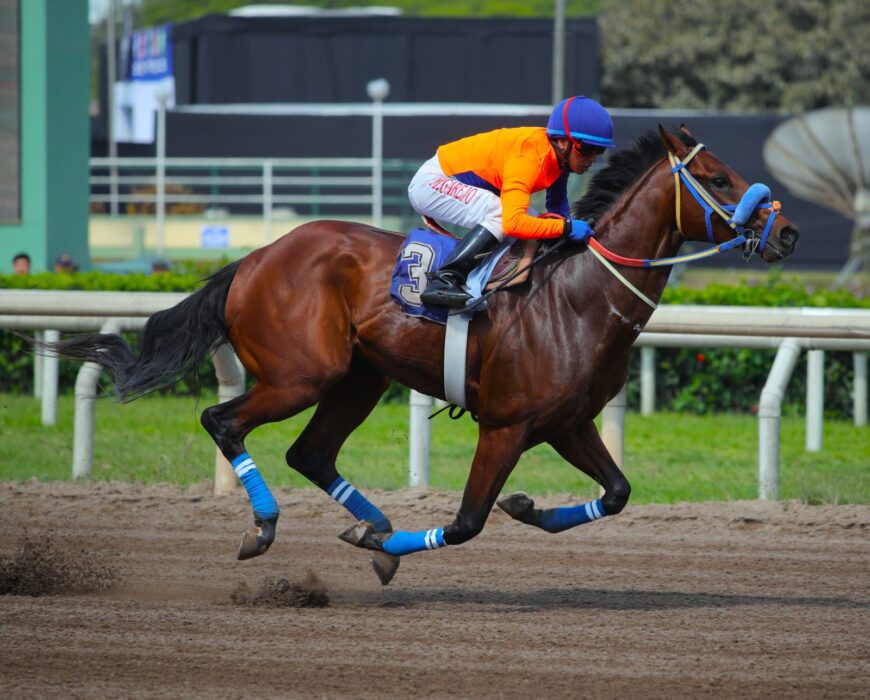 Tío Moshe, ganó casi de punta a punta y mostró con proyección
