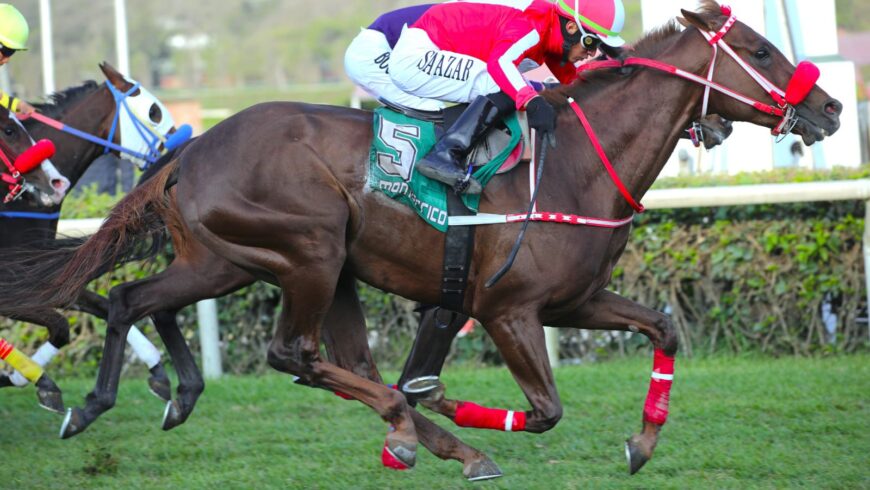 Lauchero se impuso en el Premio República de Panamá