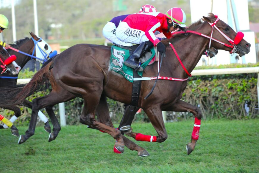 Lauchero se impuso en el Premio República de Panamá