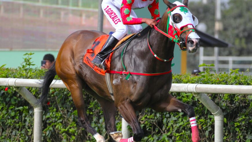 Hechizo de Luna, veloz hasta el final en su primer triunfo