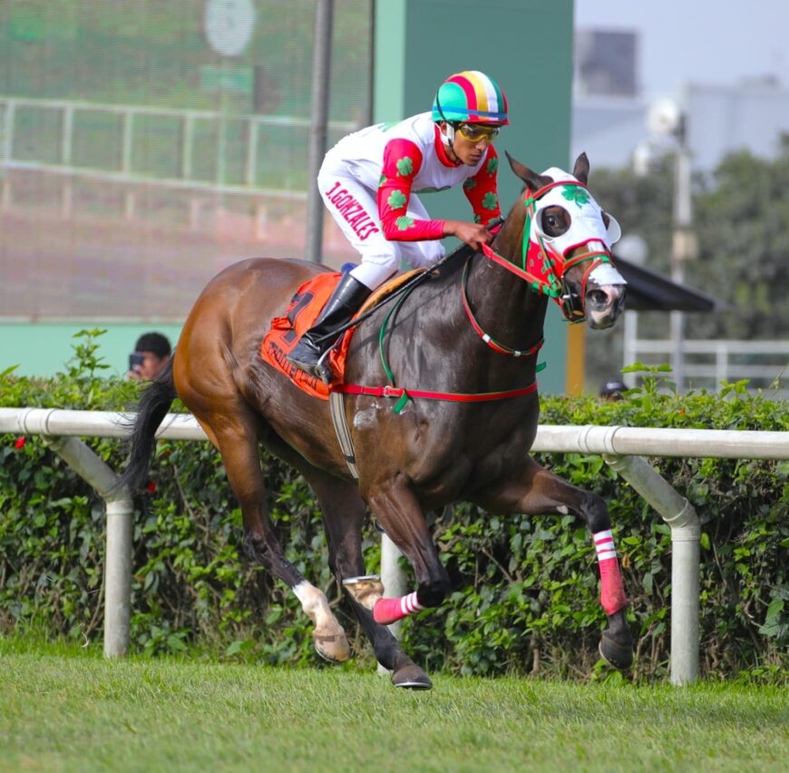 Hechizo de Luna, veloz hasta el final en su primer triunfo