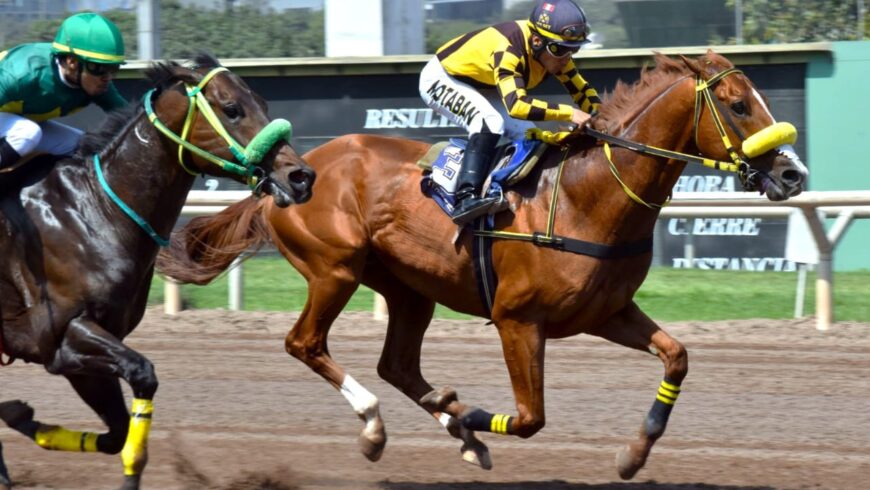 Nuevo sextuplete en la semana para el Haras Rancho Fátima