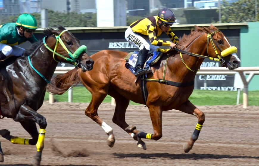 Nuevo sextuplete en la semana para el Haras Rancho Fátima