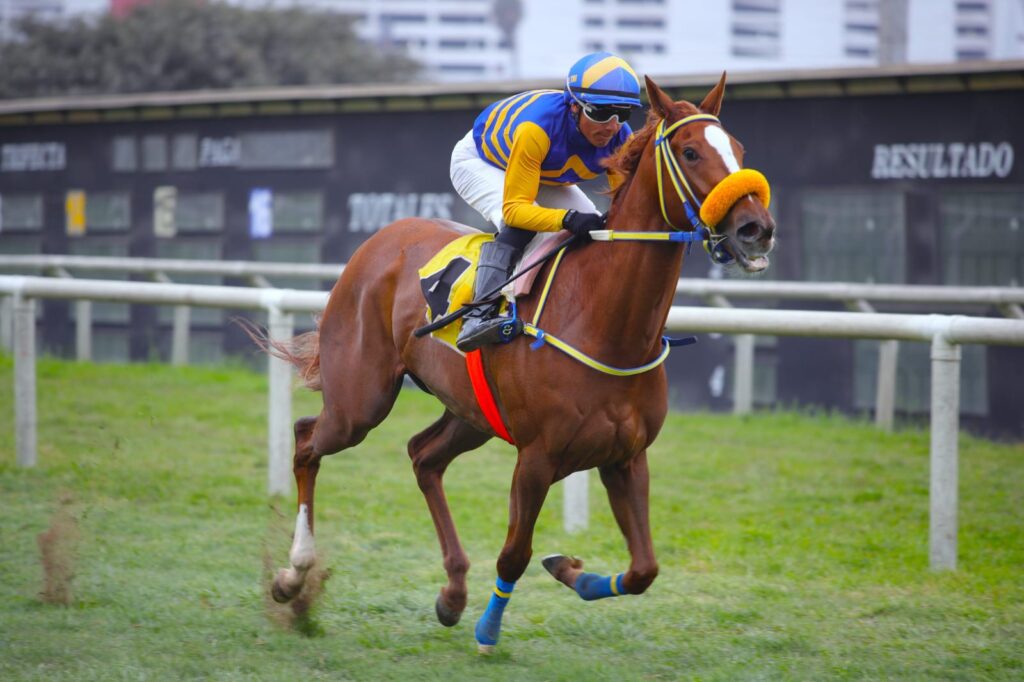 Bandolera, de un viaje, logró su primer triunfo