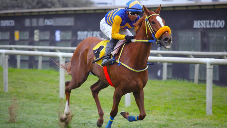 Bandolera, de un viaje, logró su primer triunfo