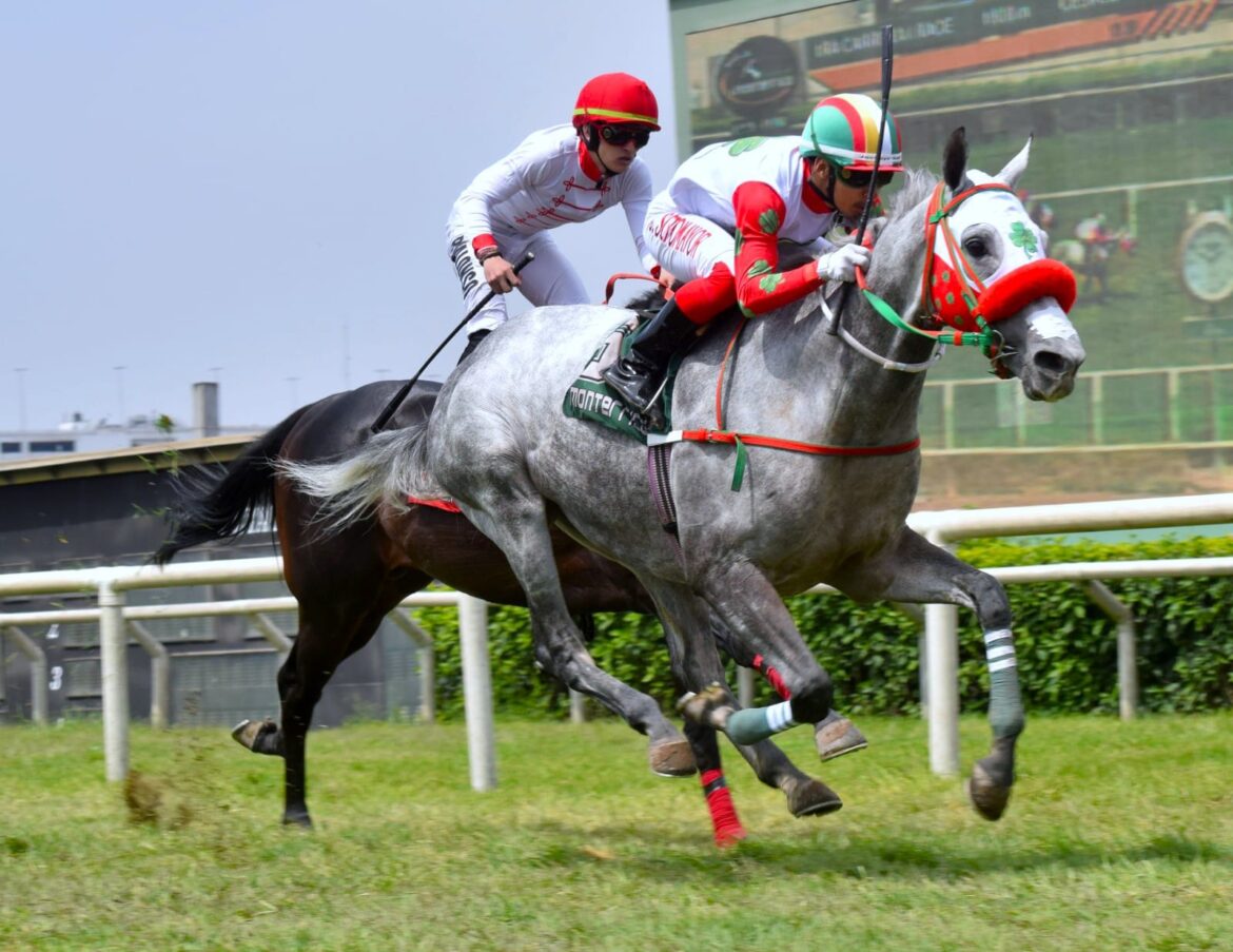 Nuevo triunfo de Turino y ya lleva cinco en el presente año