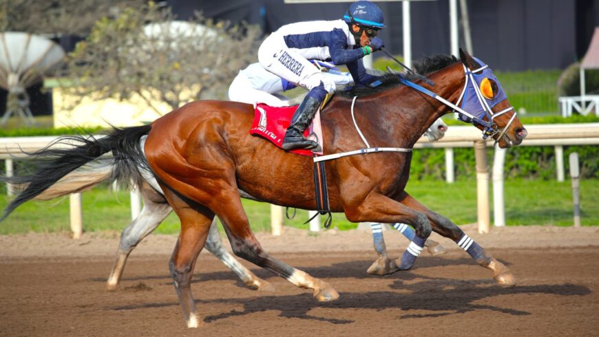 Otro doblete en la jornada del lunes y cinco ganadas en la semana