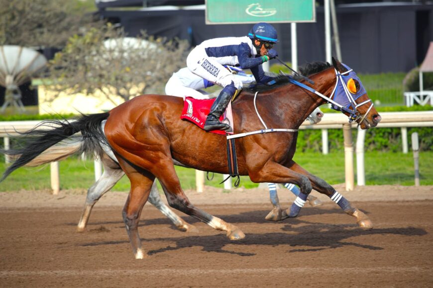 Otro doblete en la jornada del lunes y cinco ganadas en la semana