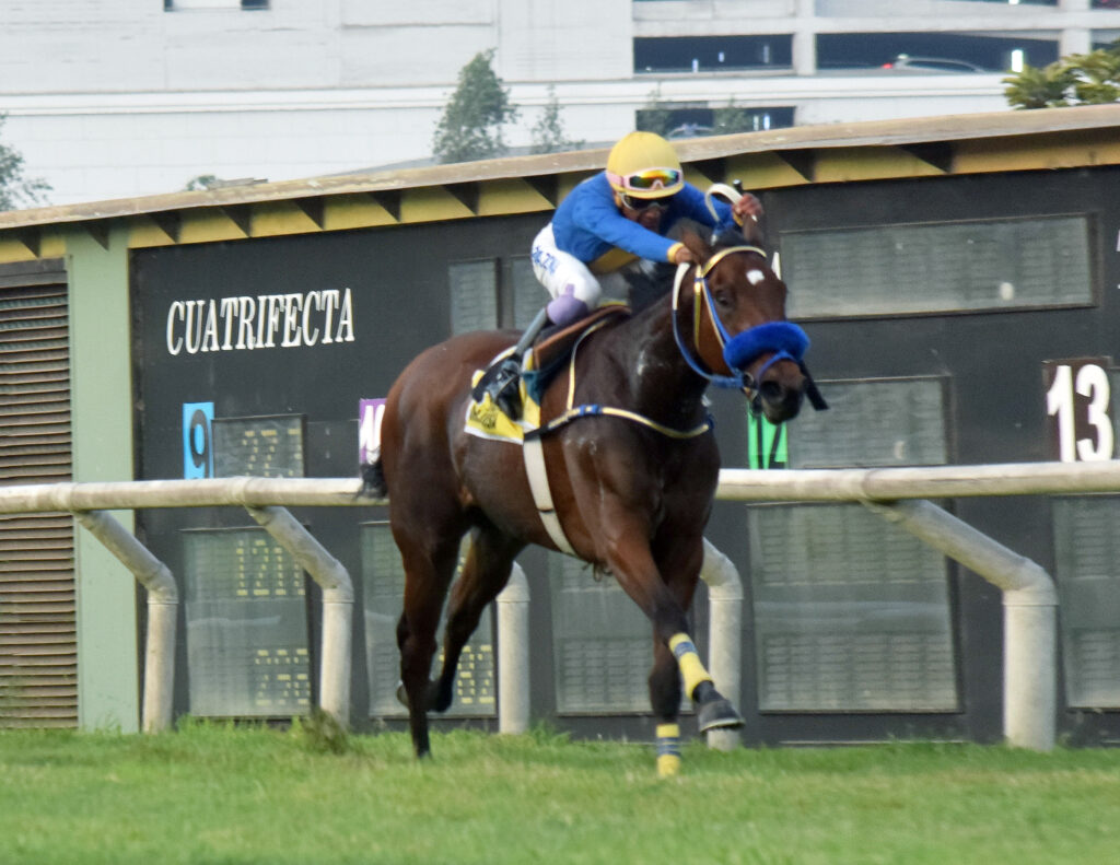 María Luisa es la primera G1 para el influyente Singe The Turf