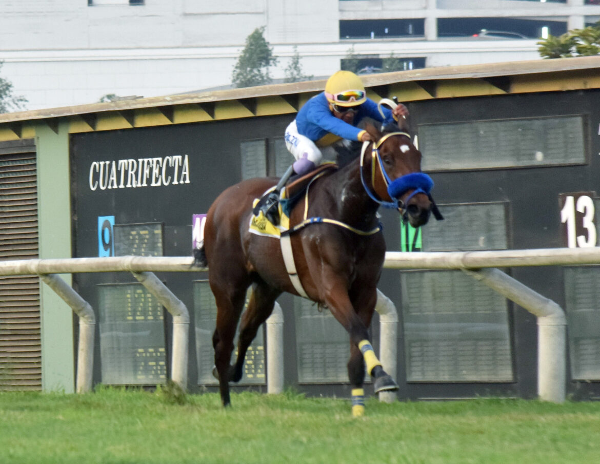 María Luisa es la primera G1 para el influyente Singe The Turf