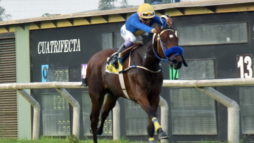 María Luisa es la primera G1 para el influyente Singe The Turf