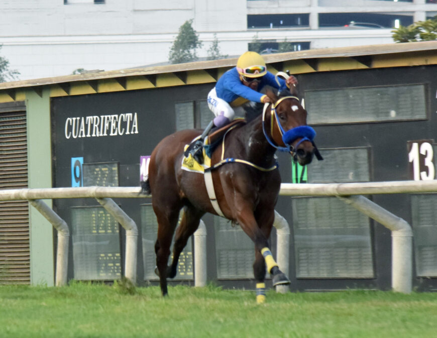 María Luisa es la primera G1 para el influyente Singe The Turf