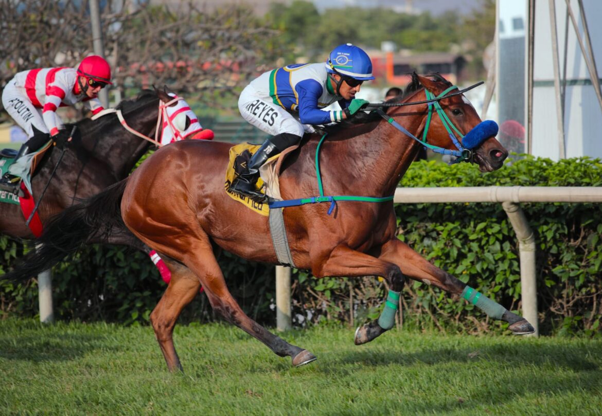 Minetta regresó a las condicionales y derrotó a los machos