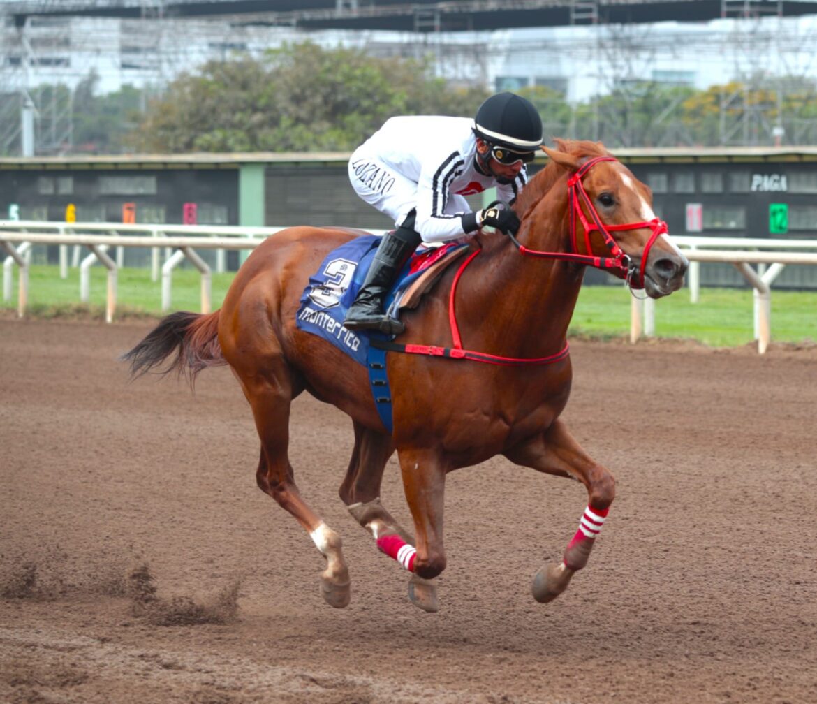 Ceferino deja grata impresión luego de su triunfal debut