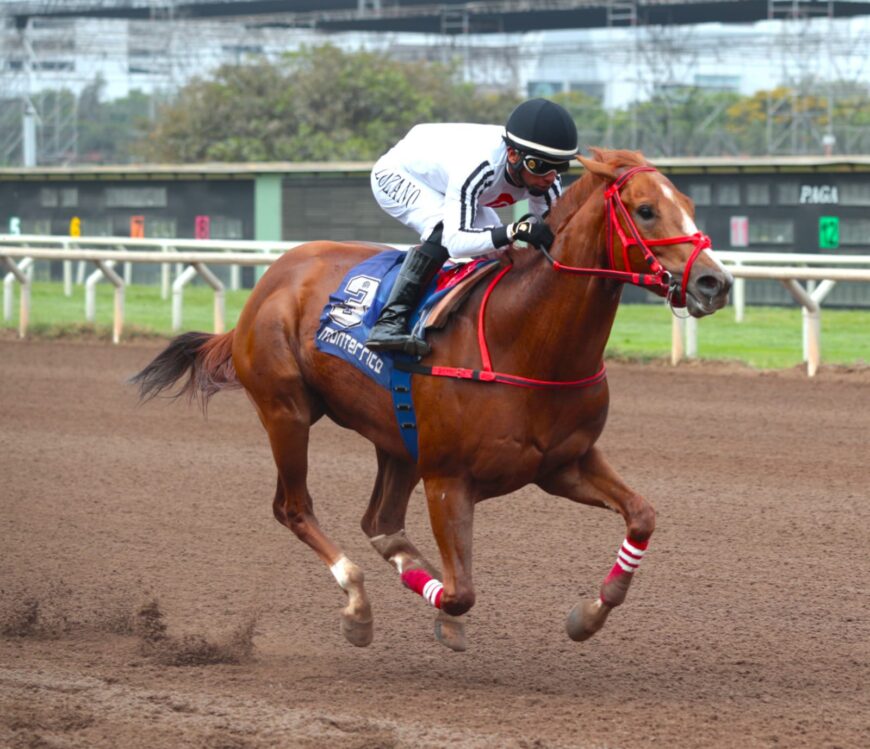 Ceferino deja grata impresión luego de su triunfal debut