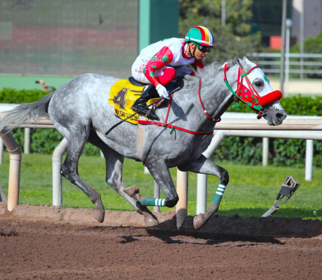 Nuevo cuadruplete del Haras Rancho Fátima en la semana