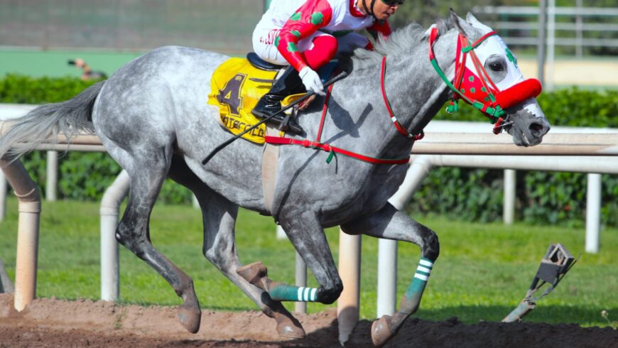 Nuevo cuadruplete del Haras Rancho Fátima en la semana