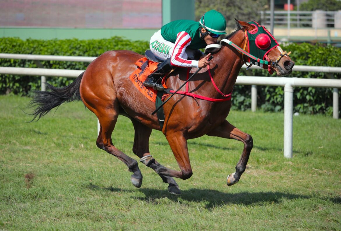 Brooklyn se defendió con valentía para sellar su segundo éxito