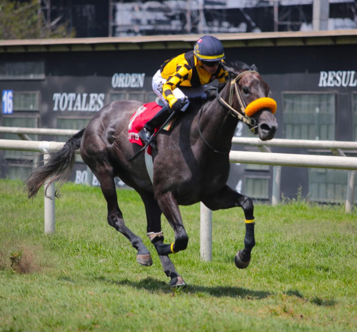 Segundo triunfo para Clarissa, la hermana de Don Feres