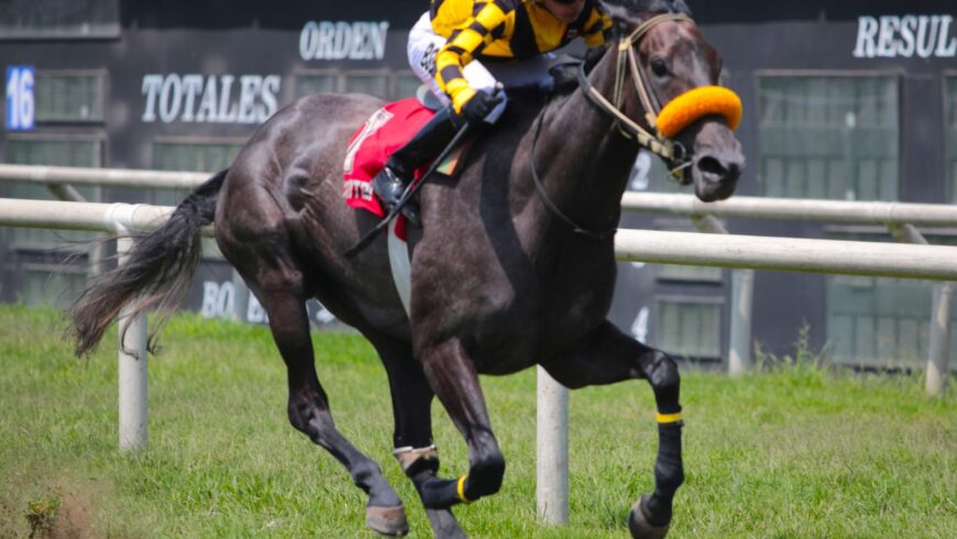 Segundo triunfo para Clarissa, la hermana de Don Feres