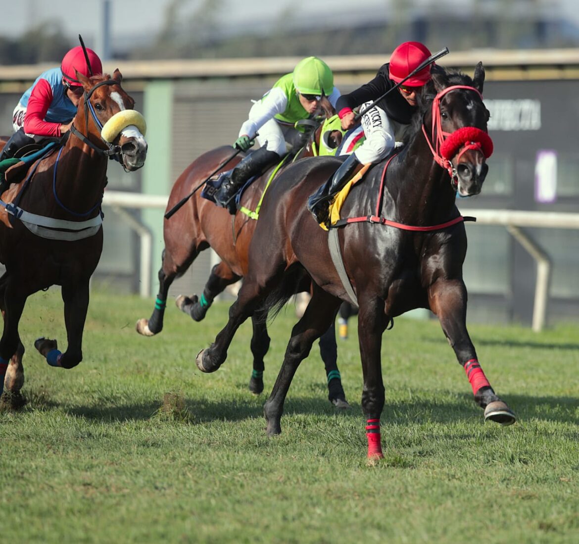 Nuevo sextuplete en la semana para el Haras Rancho Fátima