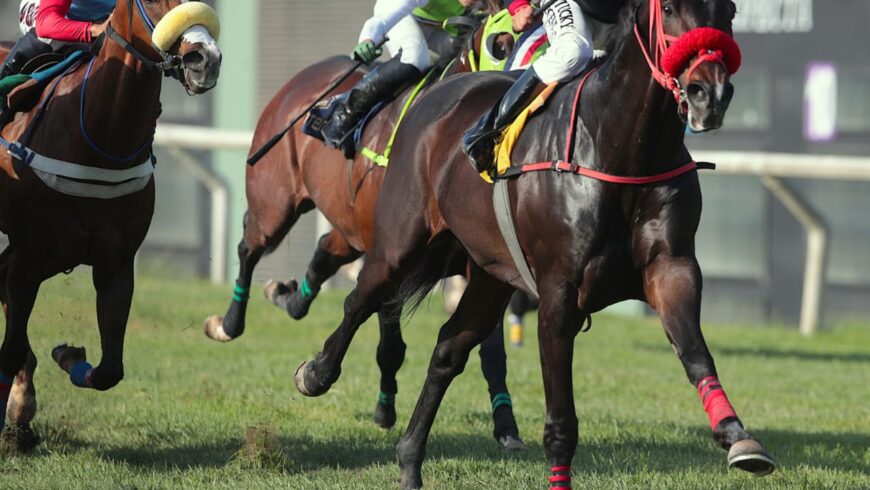 Nuevo sextuplete en la semana para el Haras Rancho Fátima