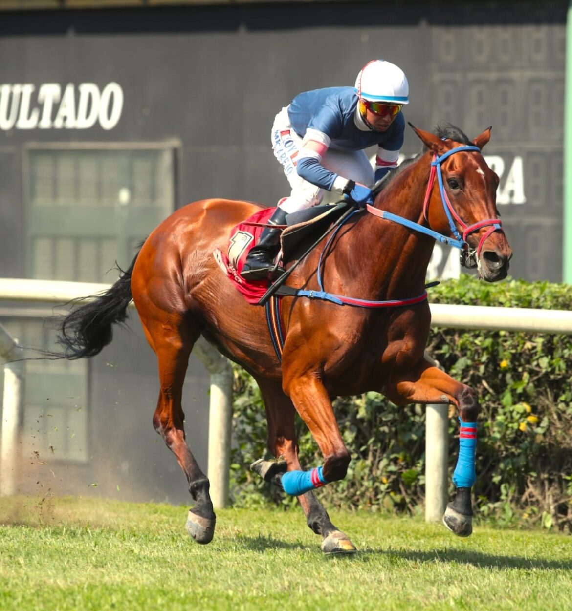 Hespería ganó el Pr. Emilio Farah Sedán