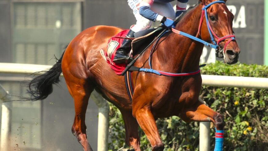 Hespería ganó el Pr. Emilio Farah Sedán