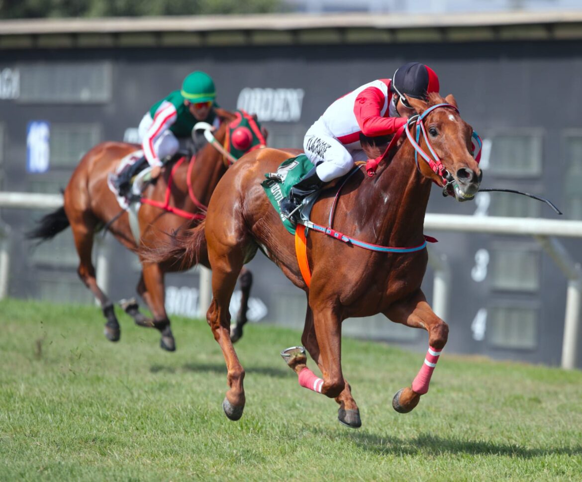 HRF cierra el 2025 como líder en carreras ganadas