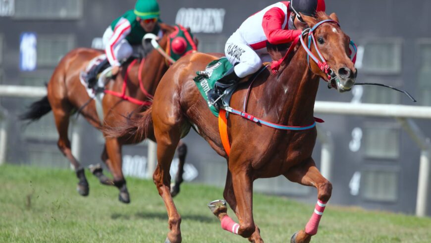 HRF cierra el 2025 como líder en carreras ganadas