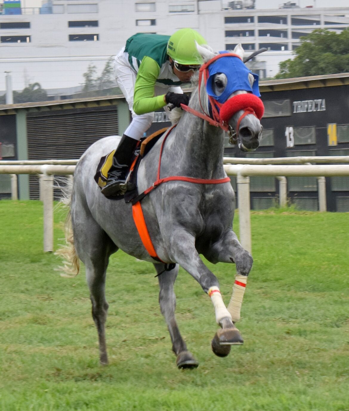 HRF cierra la primera semana del año con cuadruplete