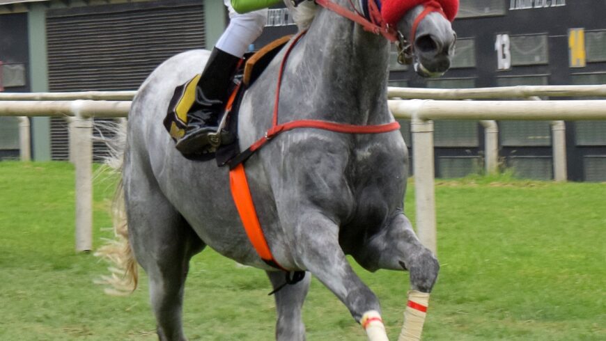 HRF cierra la primera semana del año con cuadruplete