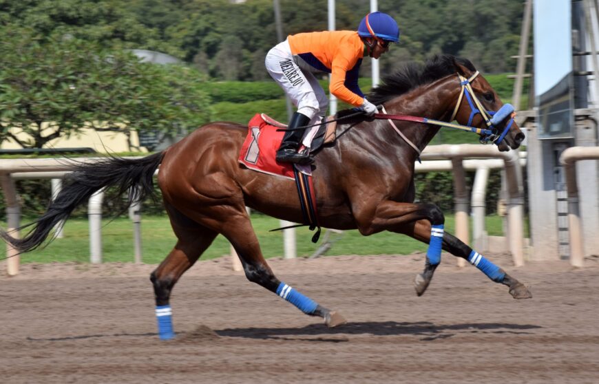 Tío Moshe, de punta a punta para su segundo triunfo