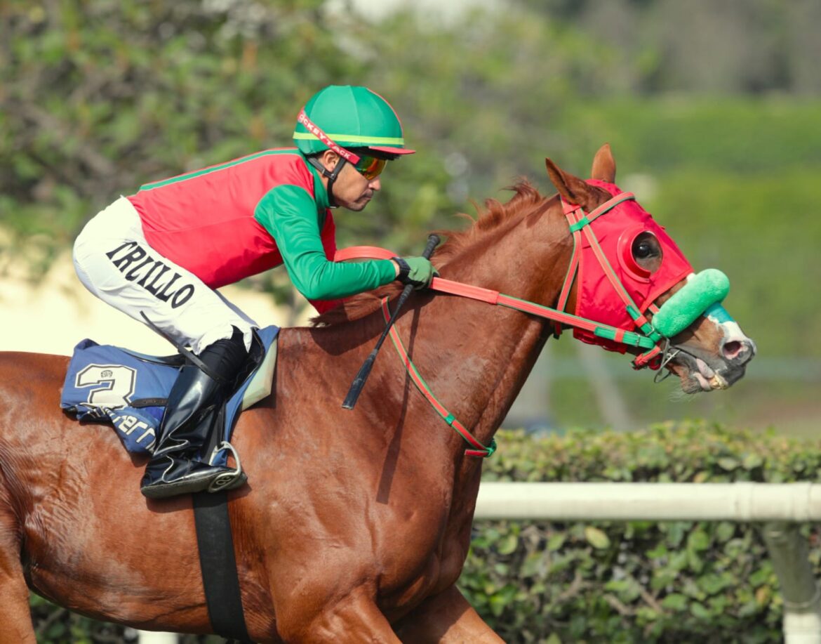 System Of a Down tuvo exitosa reaparición en las pistas