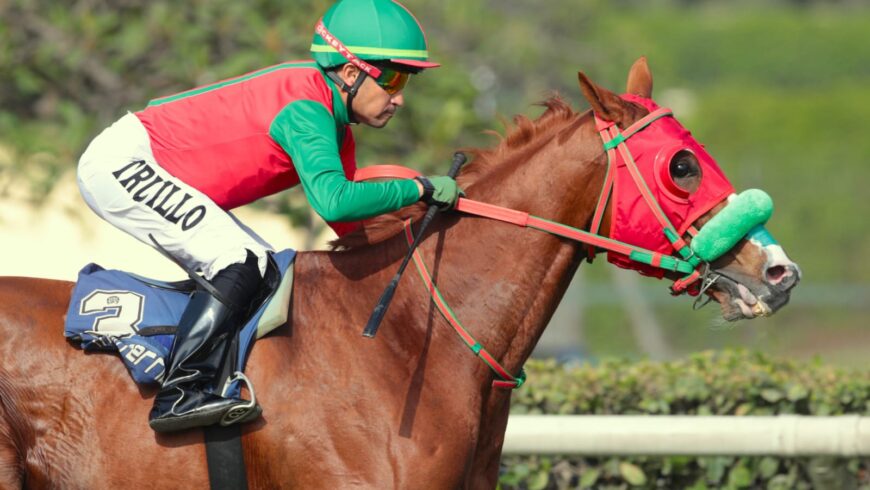 System Of a Down tuvo exitosa reaparición en las pistas