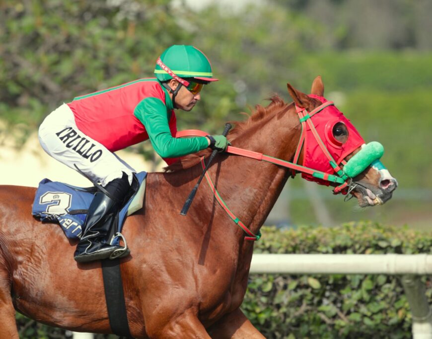 System Of a Down tuvo exitosa reaparición en las pistas
