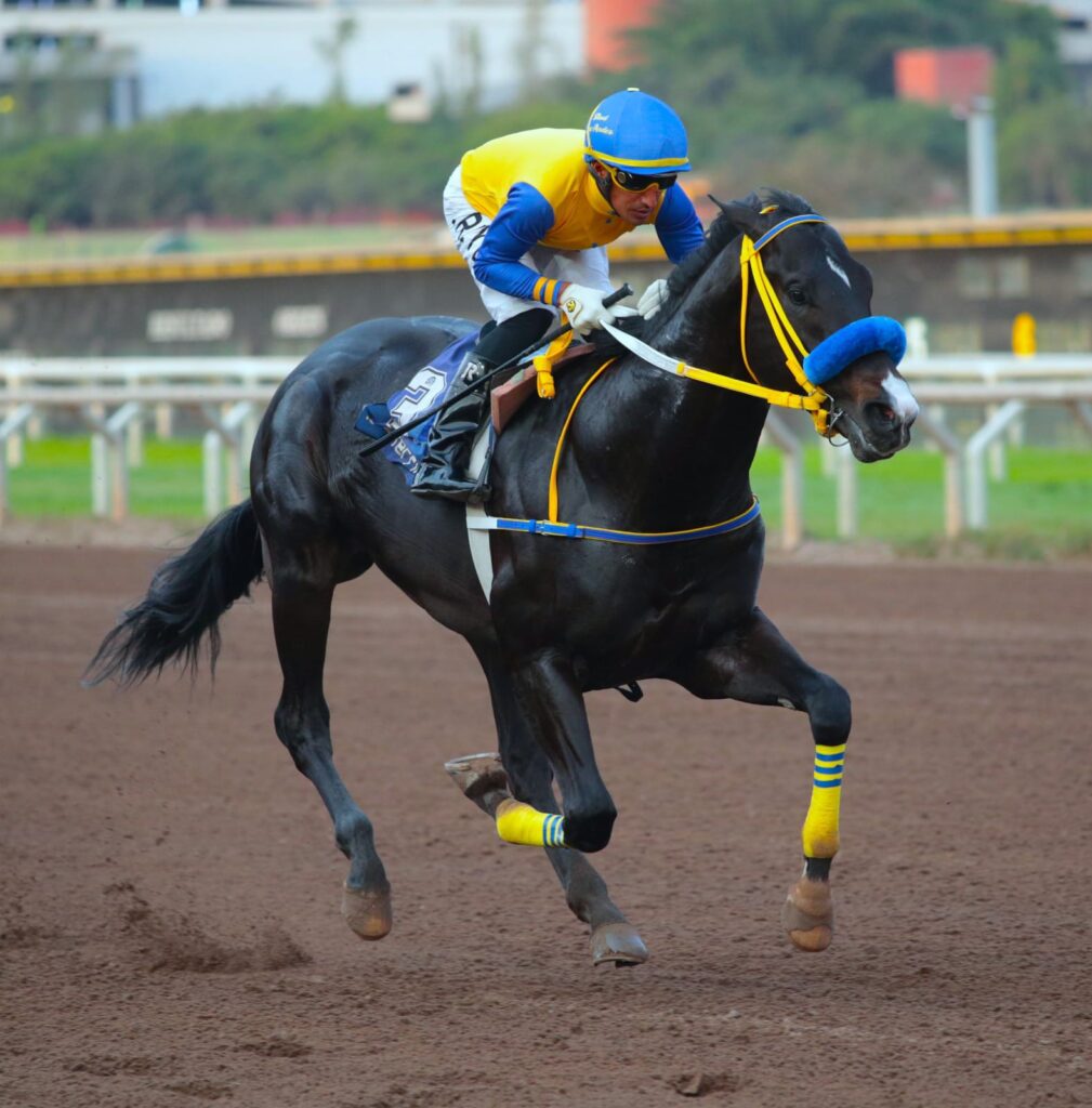 Silver Line impuso velocidades y ganó de punta a punta