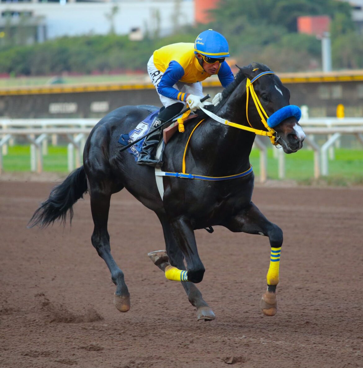 Silver Line impuso velocidades y ganó de punta a punta