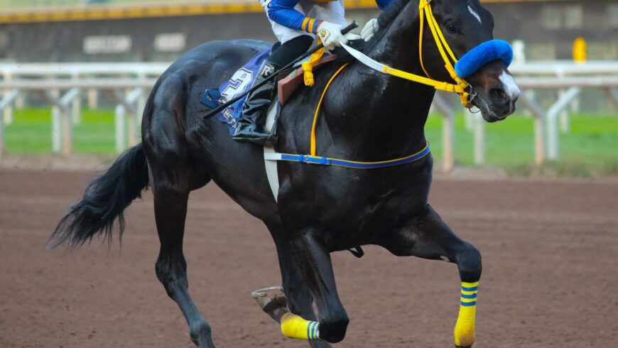 Silver Line impuso velocidades y ganó de punta a punta