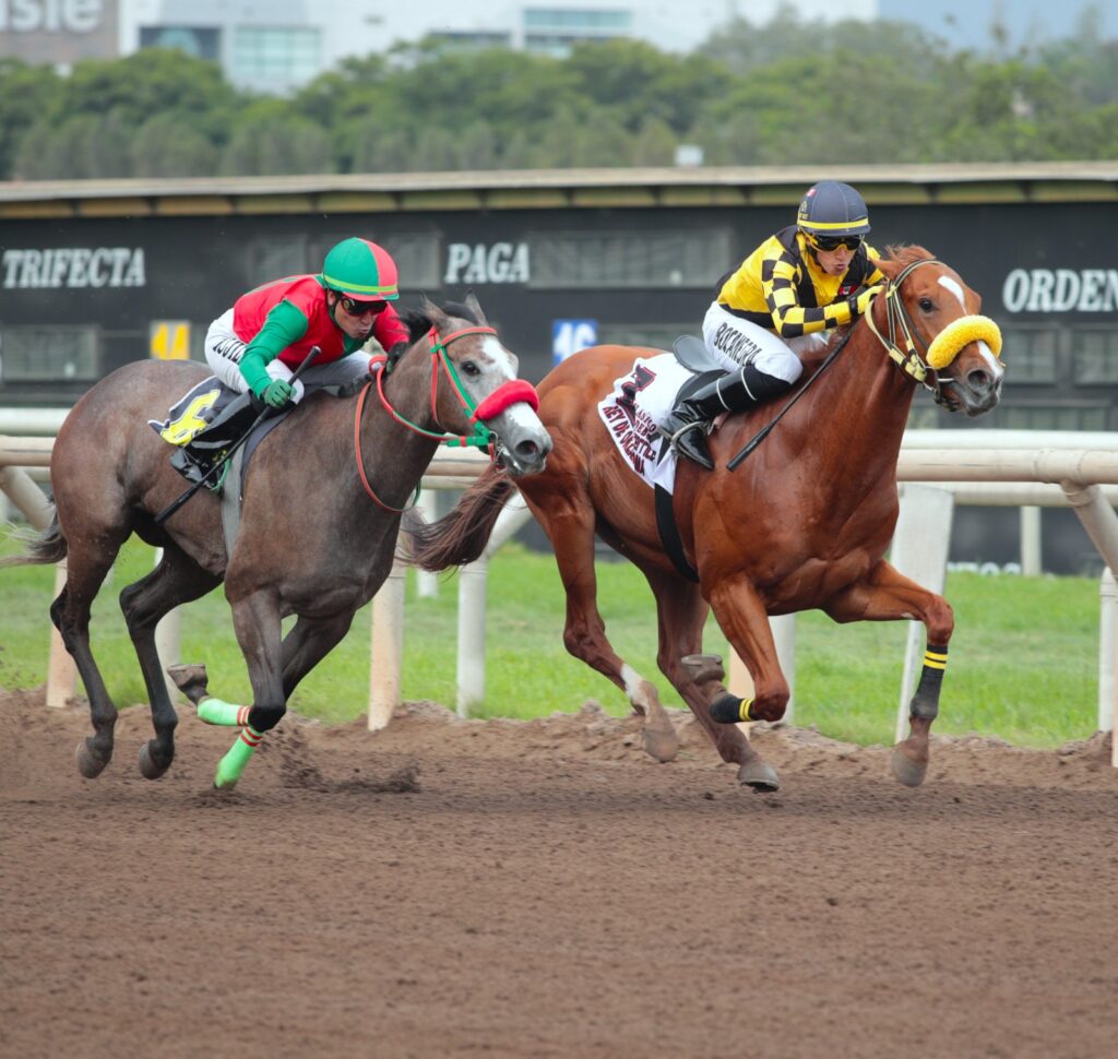 Rey de Oklahoma, valiente ganador del Clásico El Debut