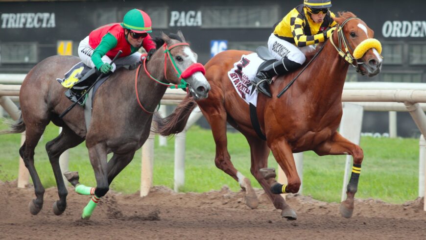 Rey de Oklahoma, valiente ganador del Clásico El Debut