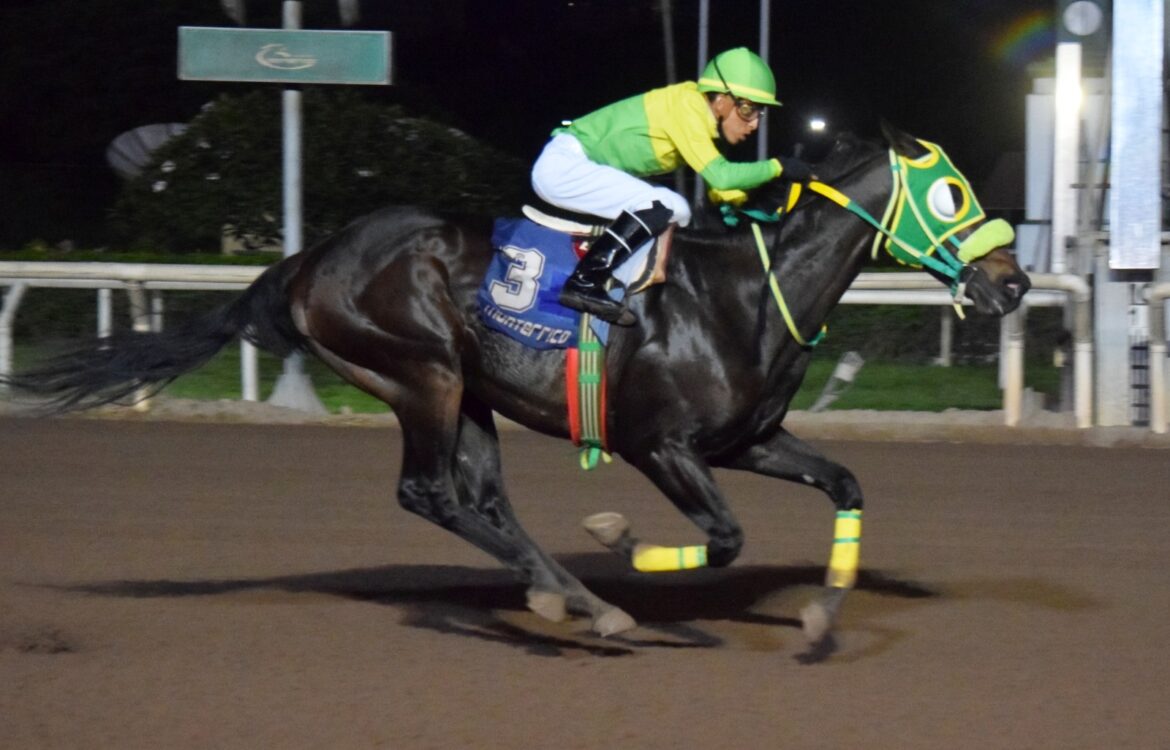 Quintuplete del Haras Rancho Fátima en la semana