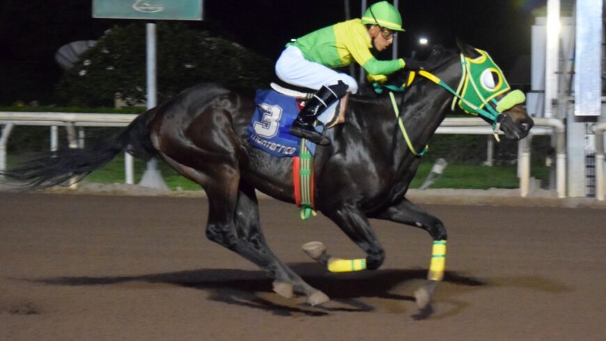 Quintuplete del Haras Rancho Fátima en la semana