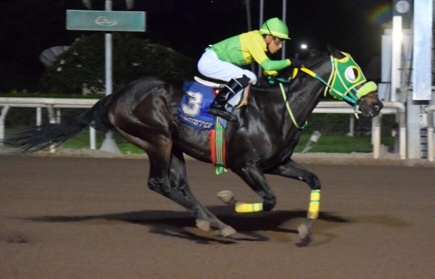 Quintuplete del Haras Rancho Fátima en la semana